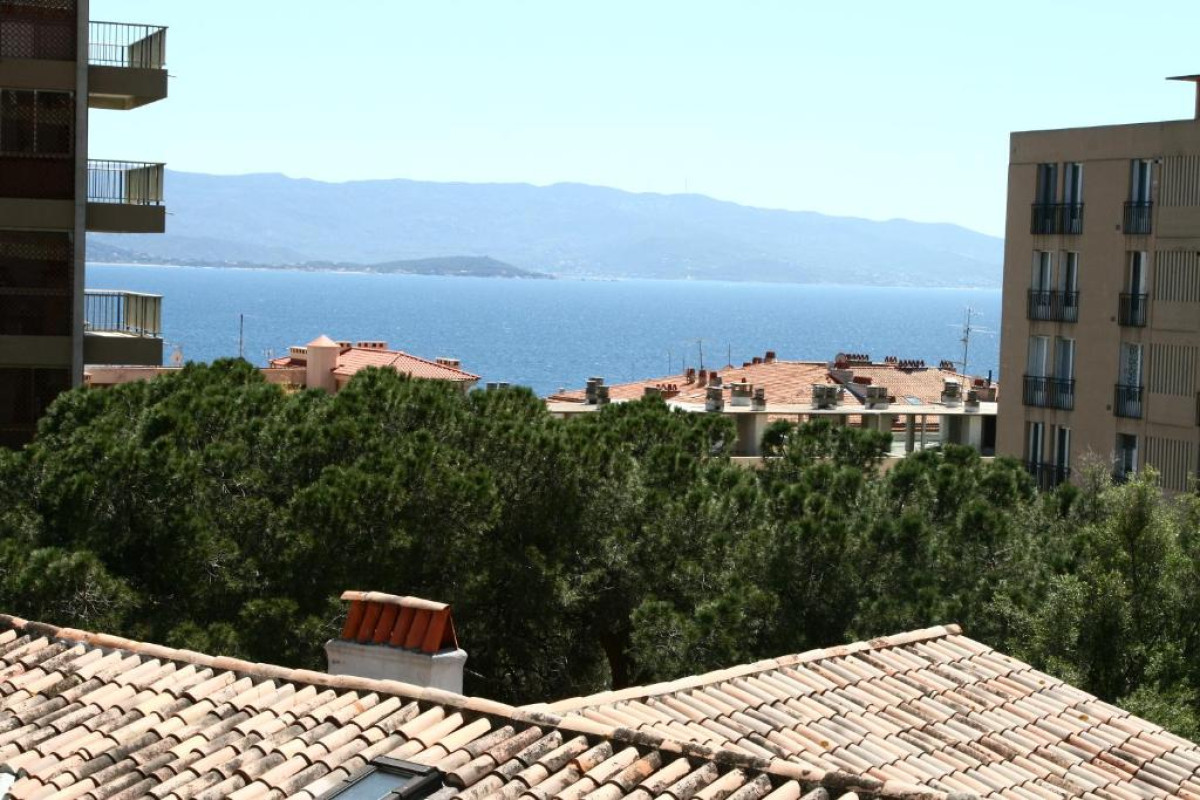 Adonis Ajaccio Hotel Albion