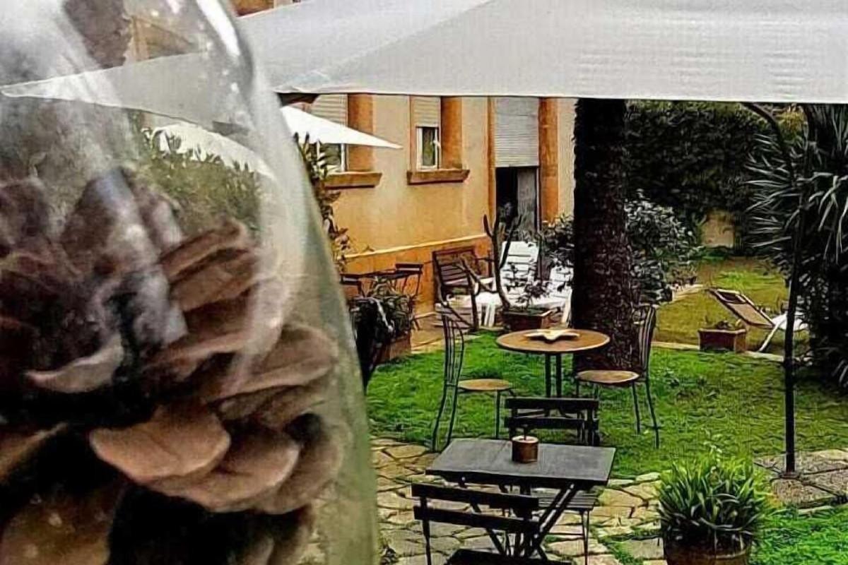 Aedes B&B - Il Giardino Dei Sogni