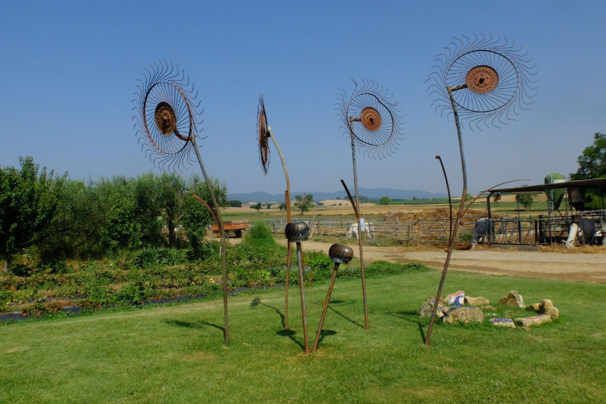 Agriturismo Al Girasole Farm Holiday B&B