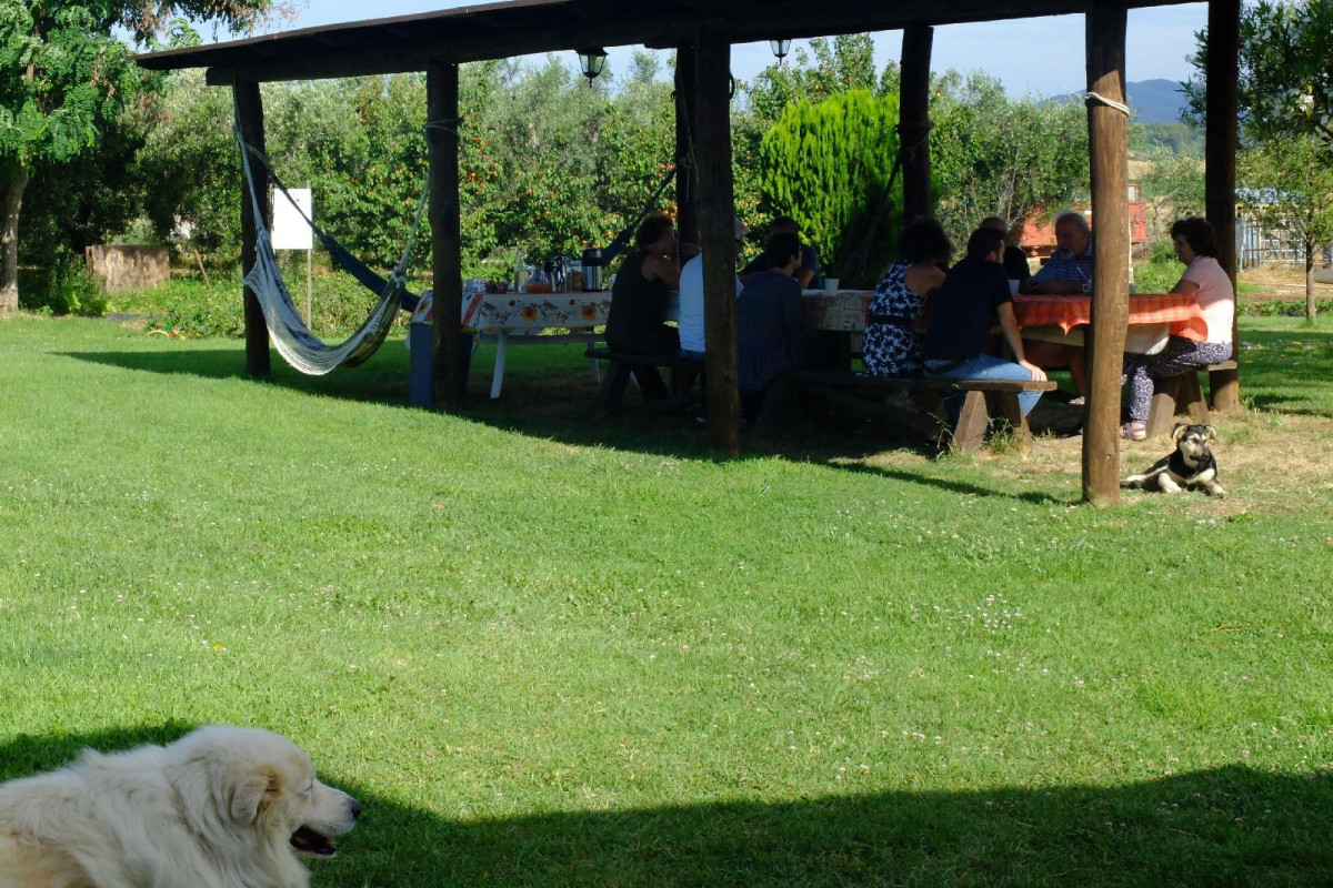 Agriturismo Al Girasole Farm Holiday B&B