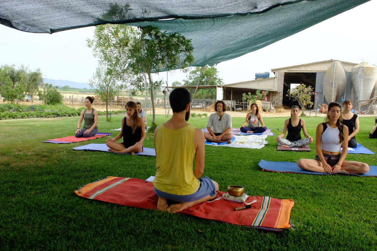Agriturismo Al Girasole Farm Holiday B&B