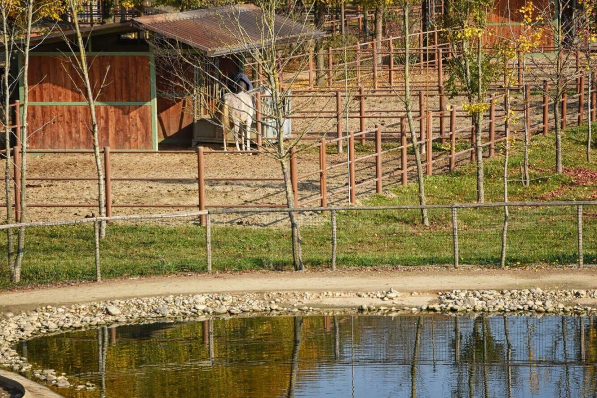 Agriturismo Corte Benetti