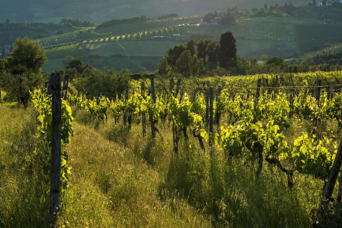 Agriturismo Fattoria Lavacchio