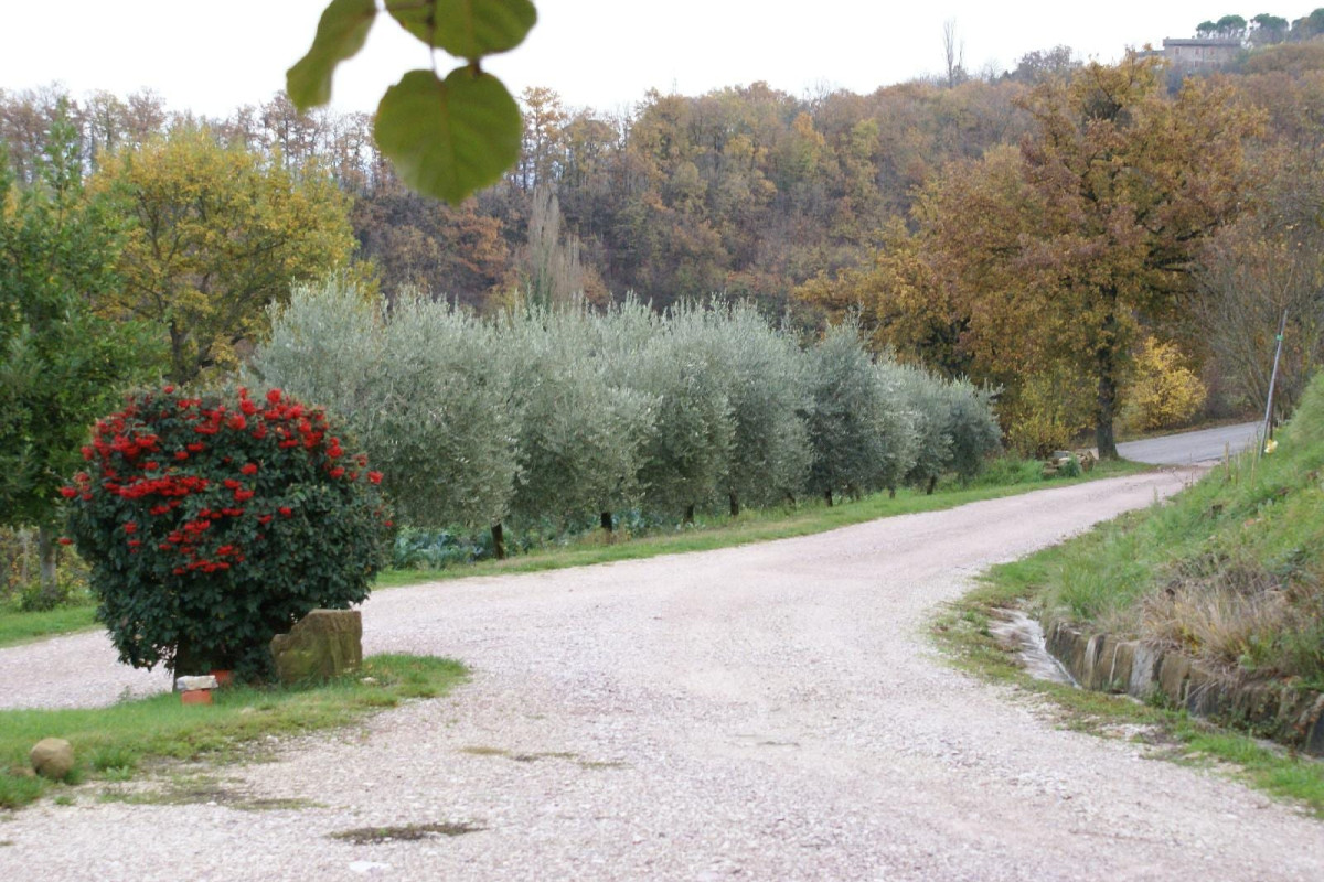 Agriturismo Fonte Chiara