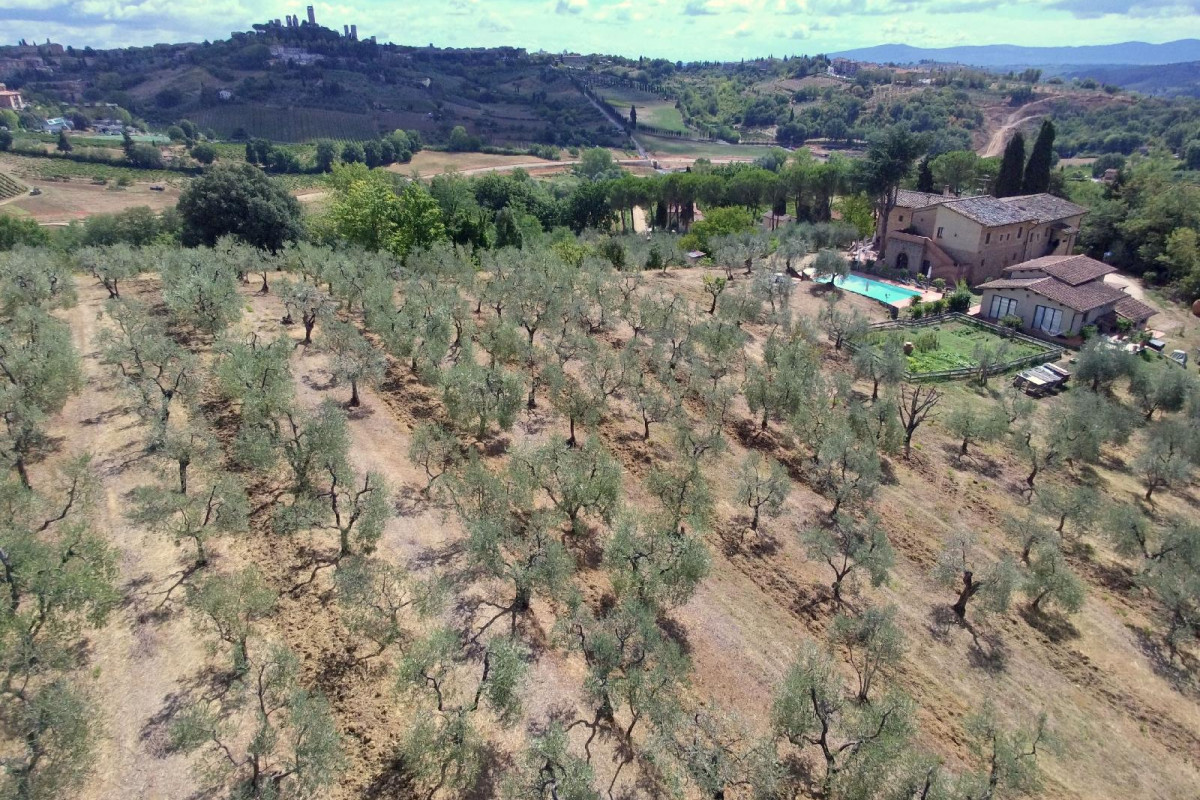 Agriturismo I Pini