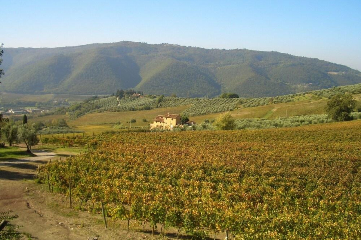 Agriturismo I Veroni