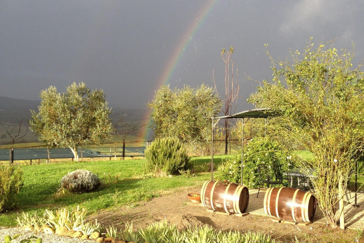 Agriturismo Il Macchione