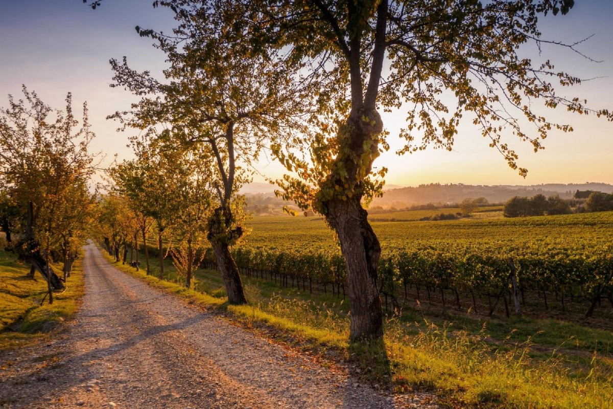 Agriturismo Il Palazzo
