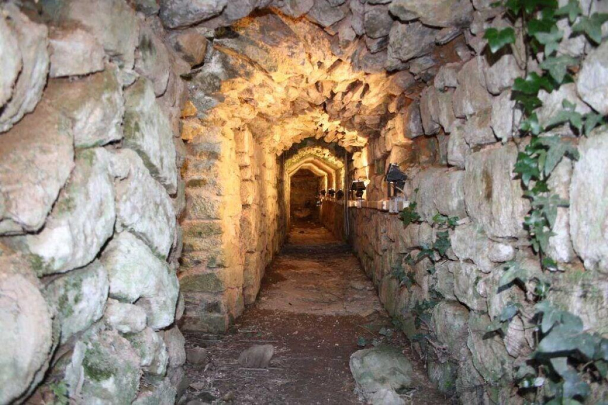 Agriturismo La Fragolaia