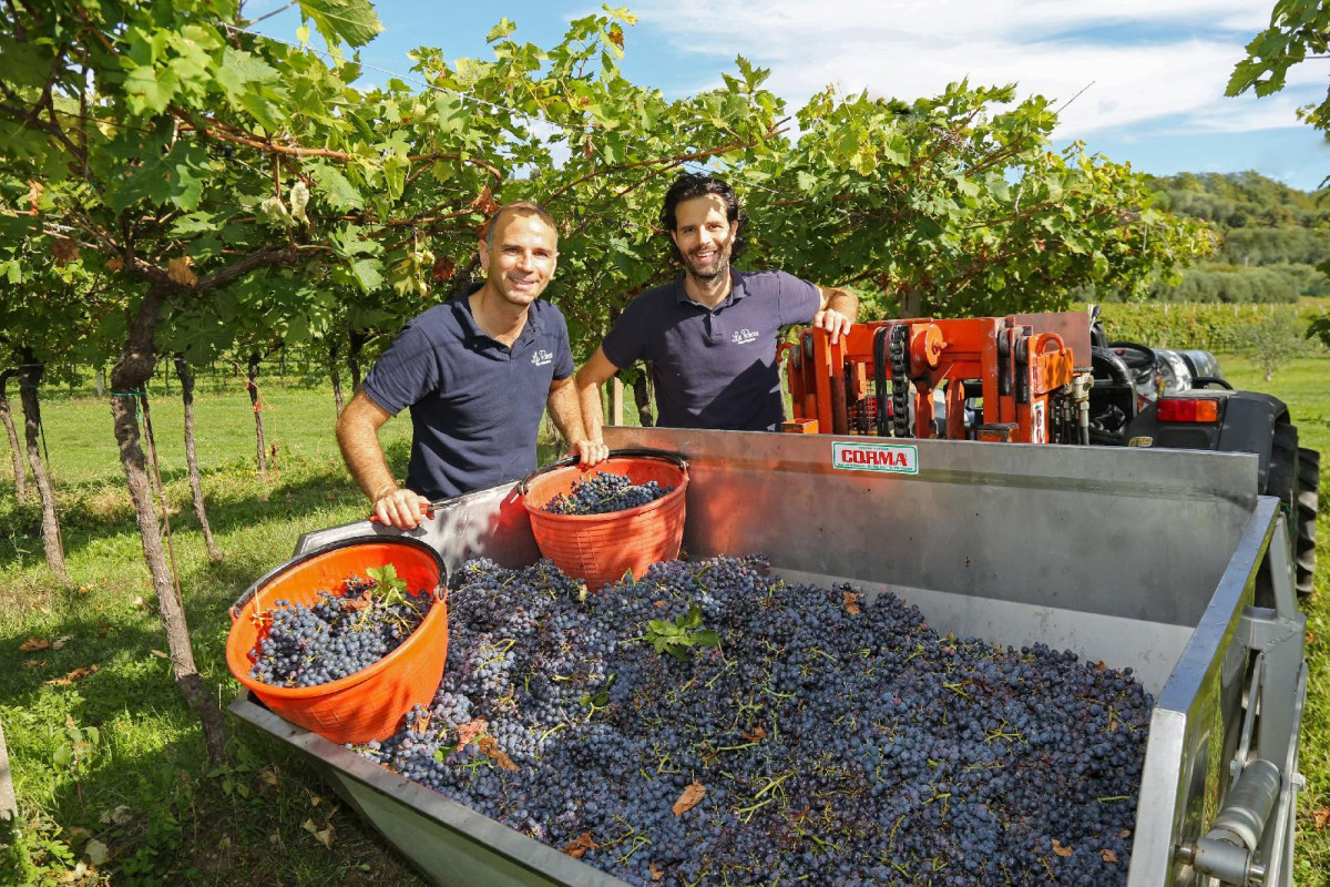 Agriturismo La Rocca