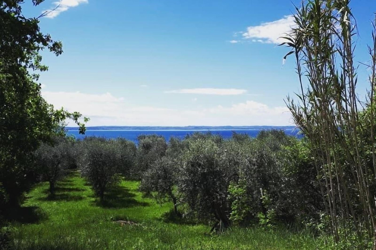 Agriturismo La Rocca