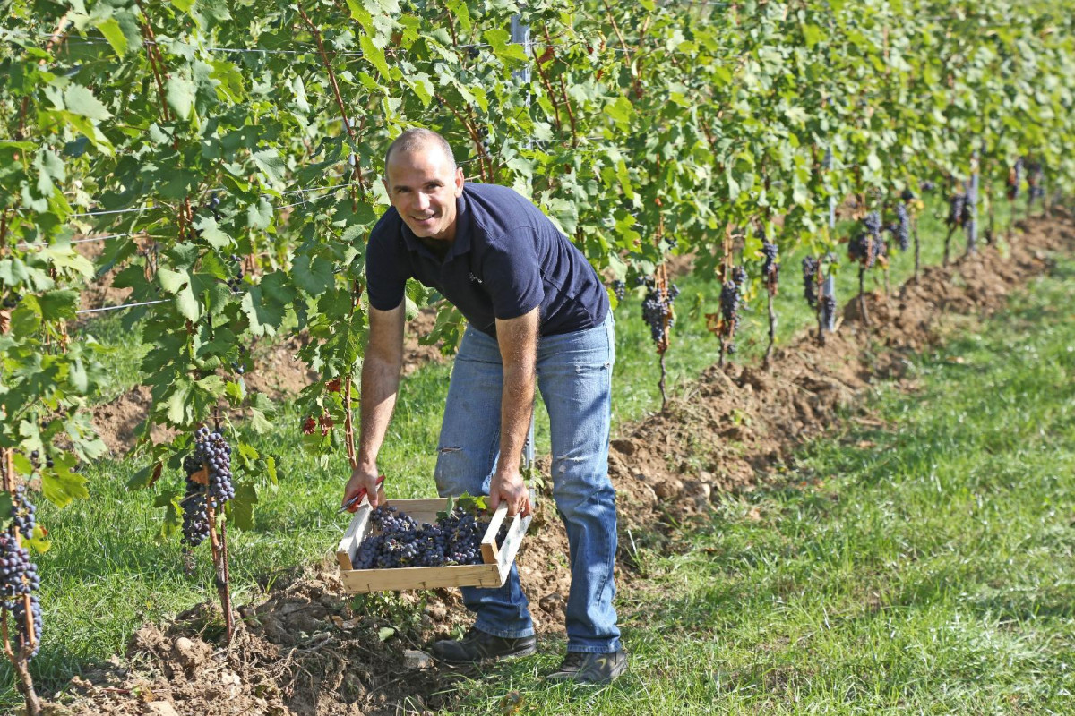 Agriturismo La Rocca