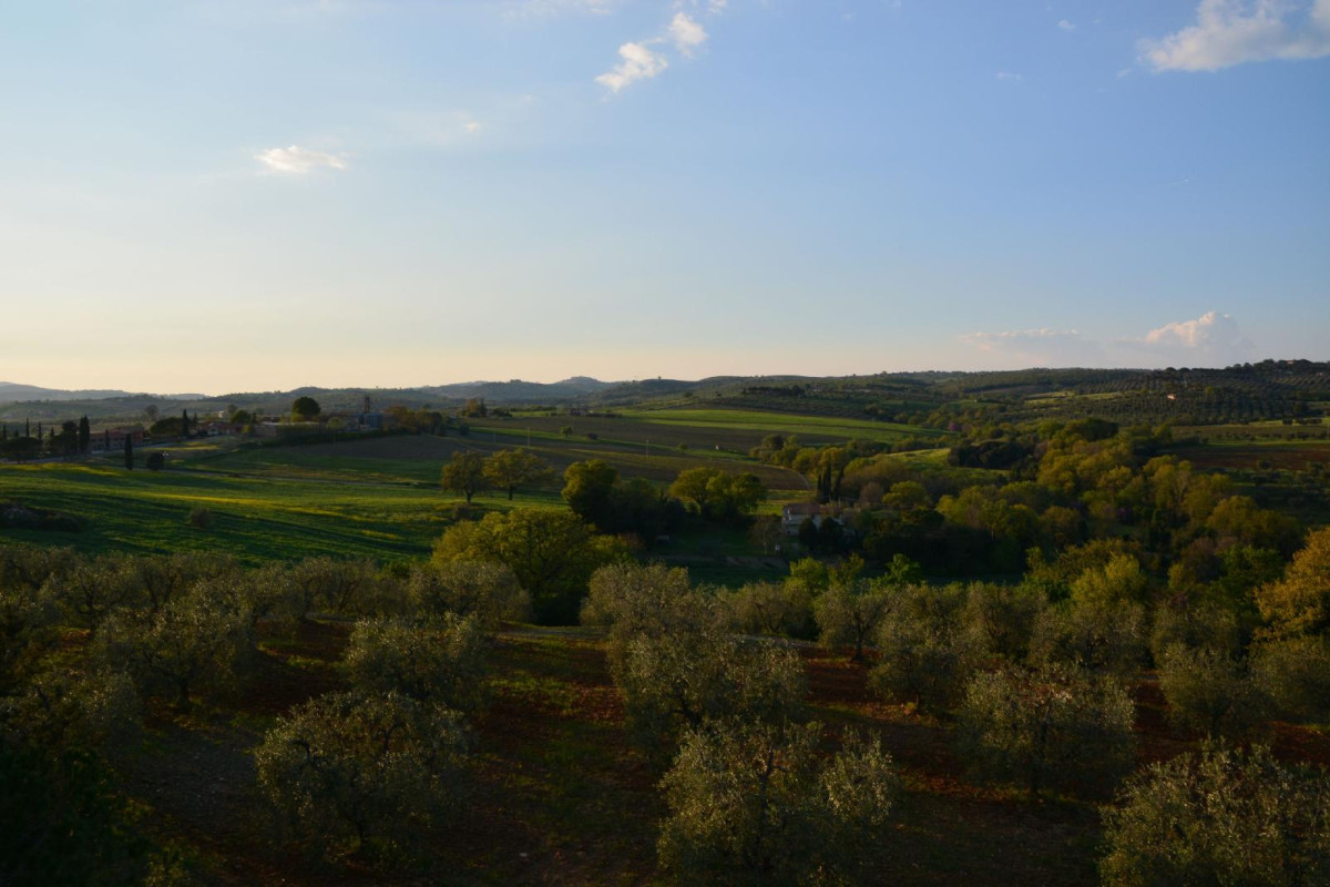 Agriturismo L'aquilone