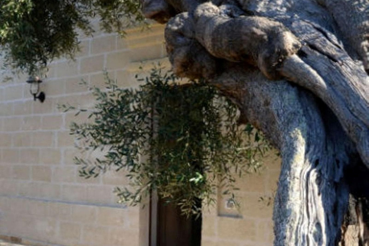 Agriturismo Masseria San Leonardo