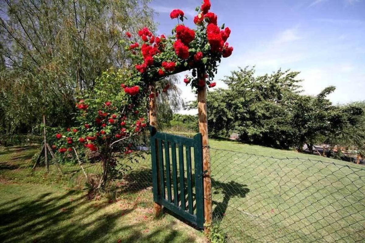 Agriturismo Molinuzzo