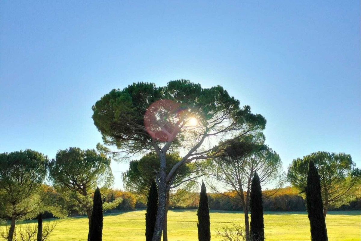 Agriturismo Nerbona