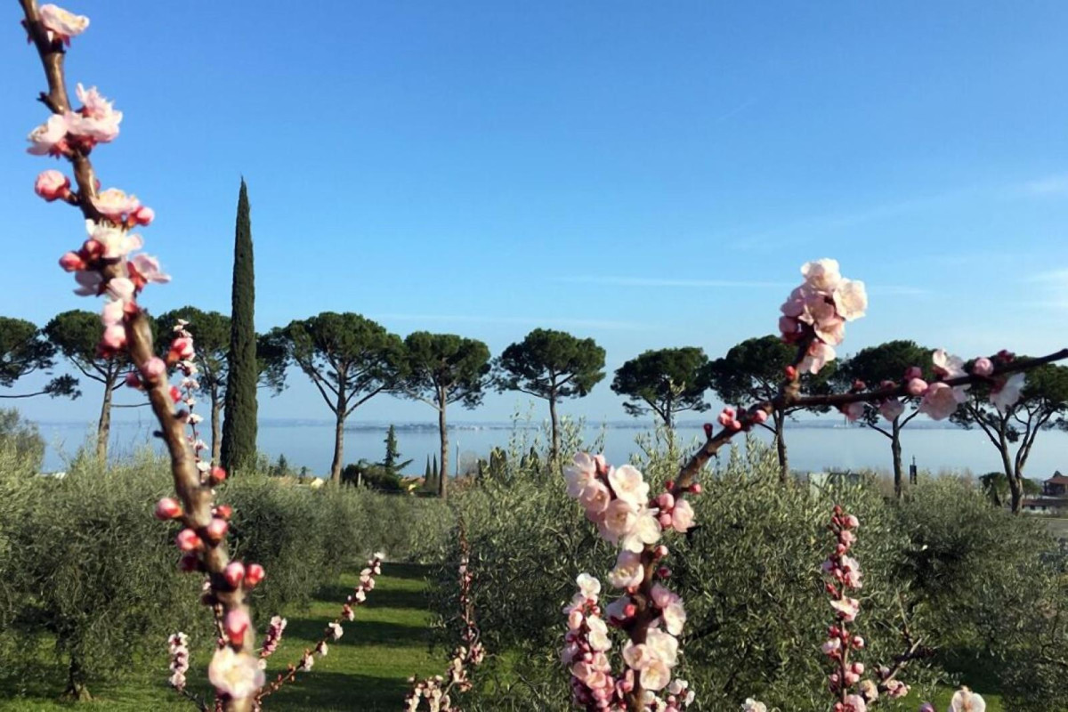 Agriturismo Nonna Bettina
