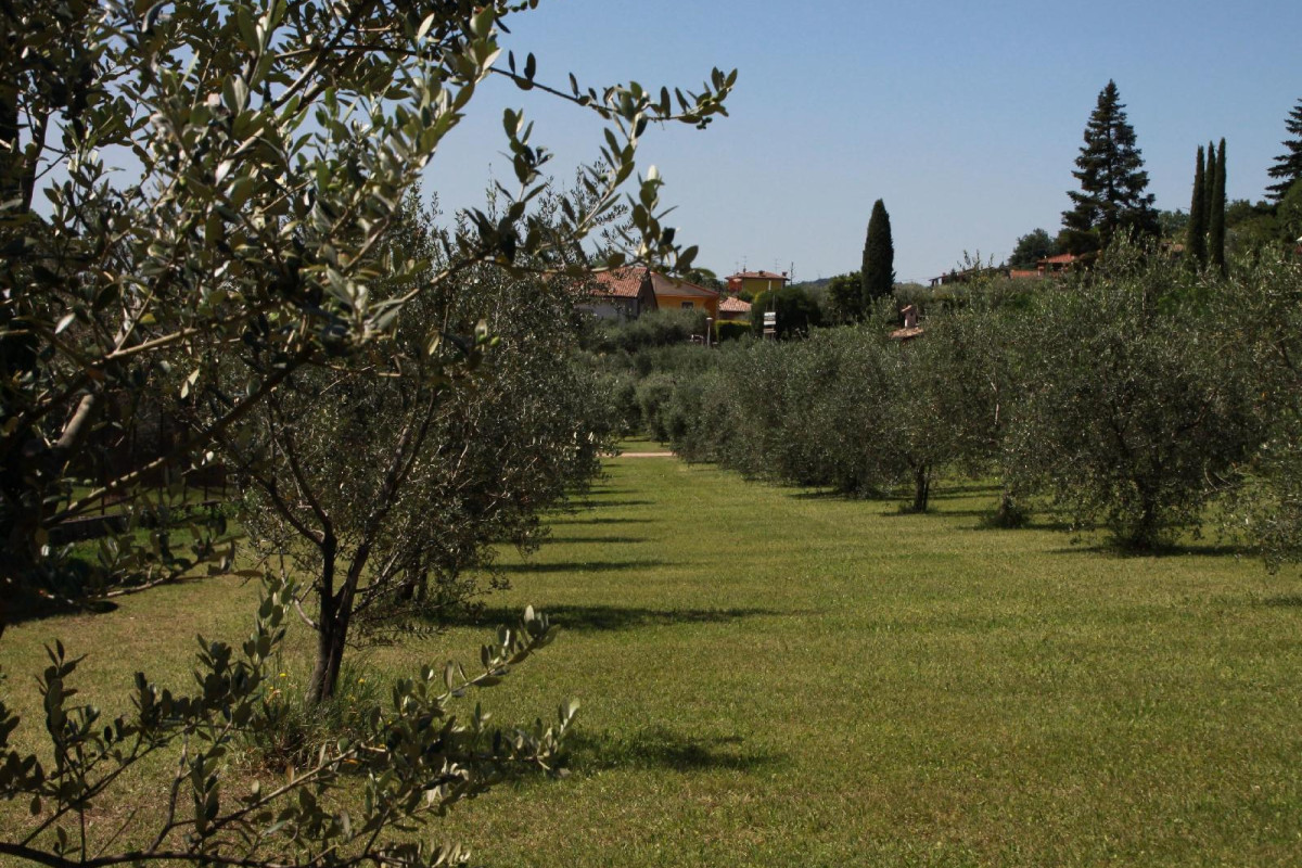 Agriturismo Nonna Bettina
