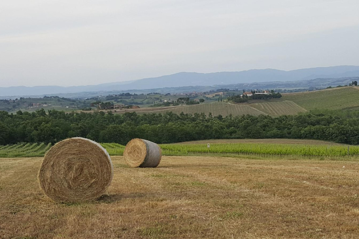 Agriturismo Podere Casa Al Vento