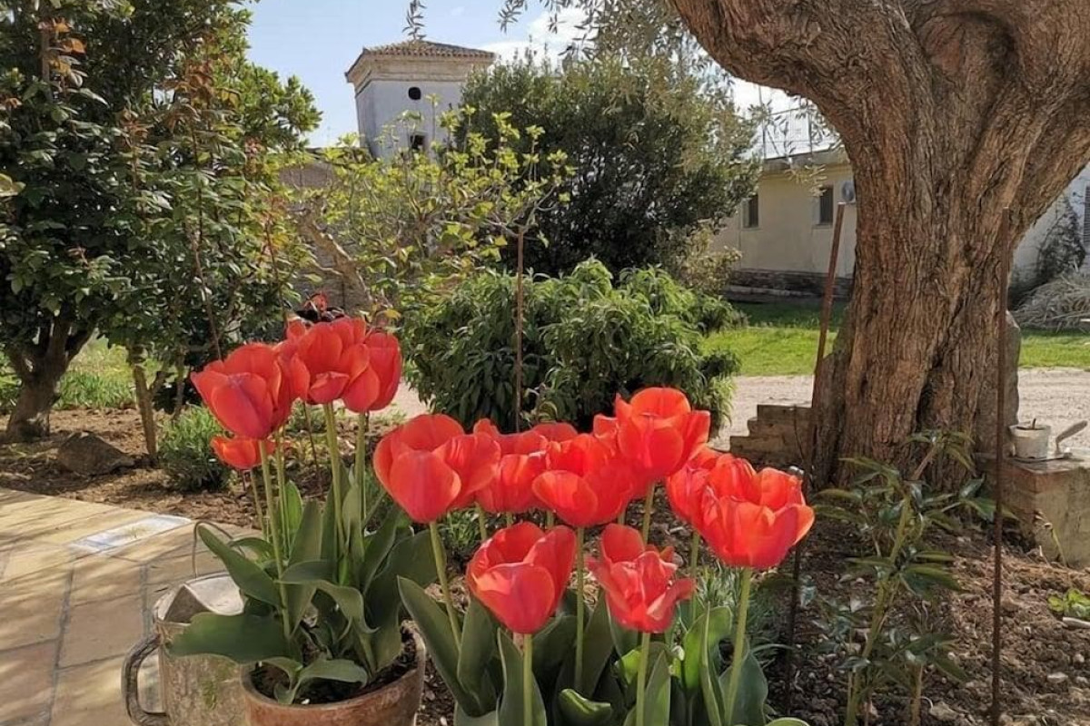 Agriturismo Torre Mannella