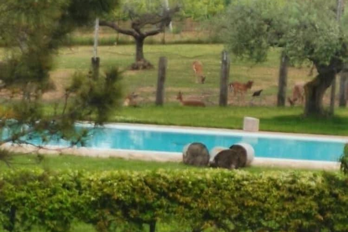 Agriturismo Torre Mannella