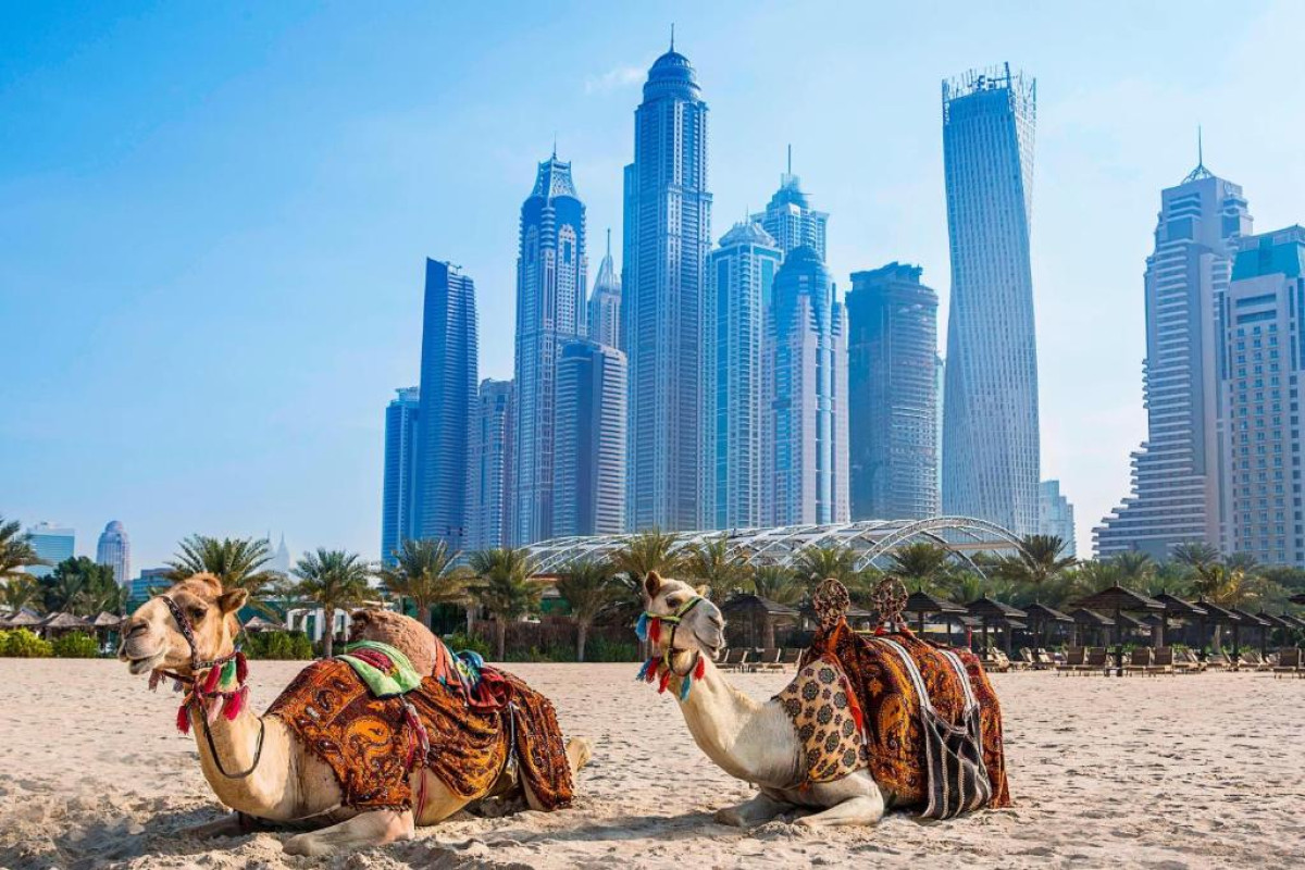 Al Habtoor Grand Resort, Autograph Collection