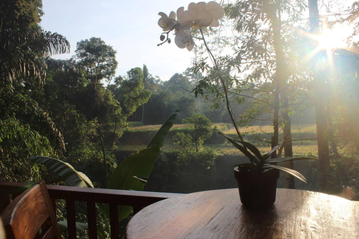 Alam Dania Cottage