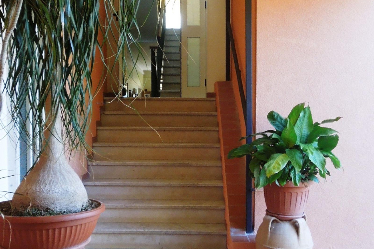 Albergo Delfino