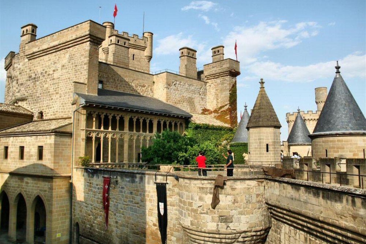 Alda Castillo De Olite