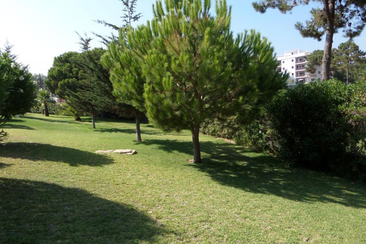 Aldeia da Falesia