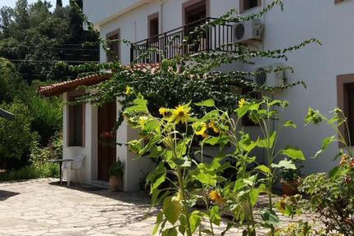 Alekos Rooms and Apartments