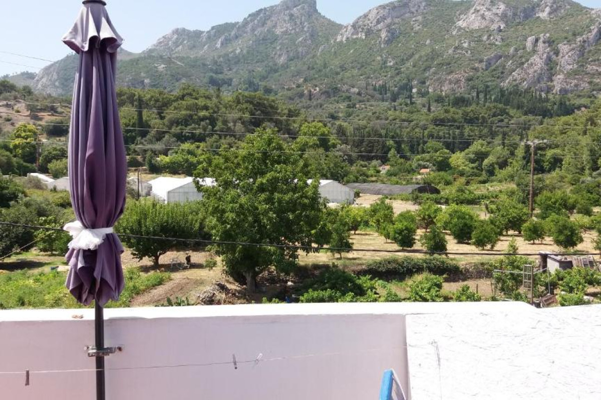 Alekos Rooms and Apartments