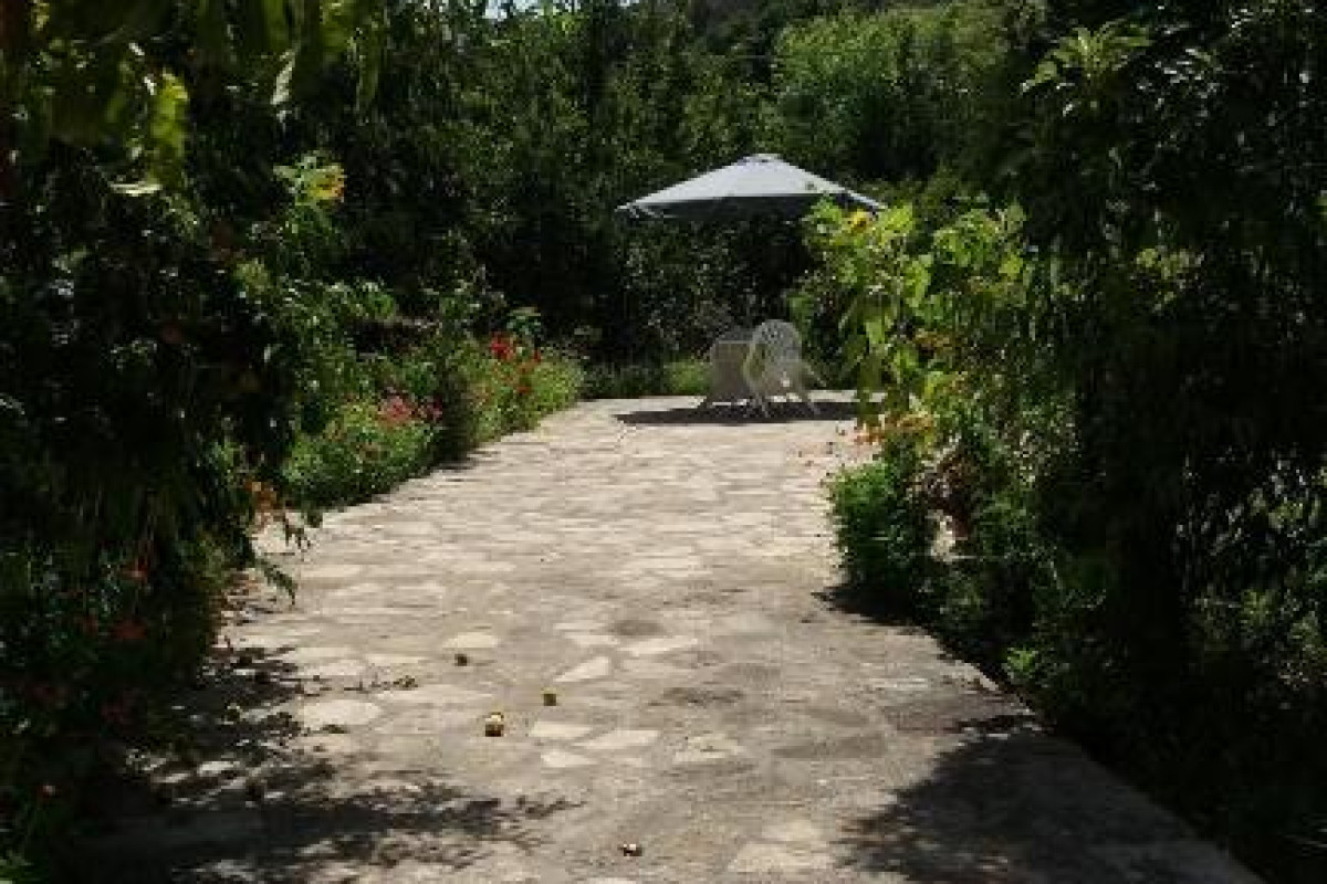 Alekos Rooms and Apartments