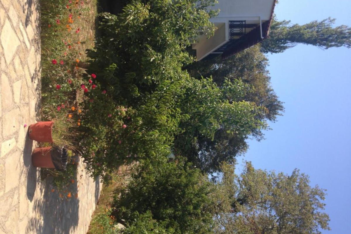Alekos Rooms and Apartments