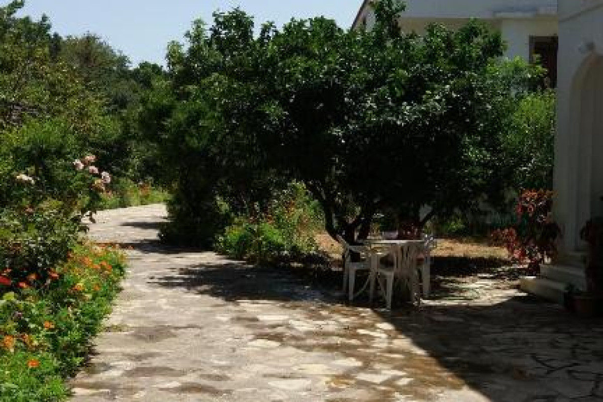 Alekos Rooms and Apartments