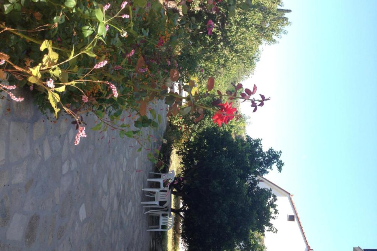 Alekos Rooms and Apartments
