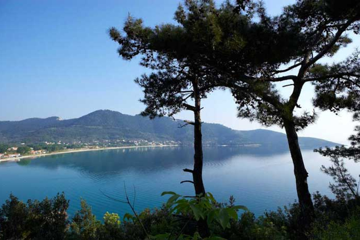 Alexandra Golden Thassos Boutique