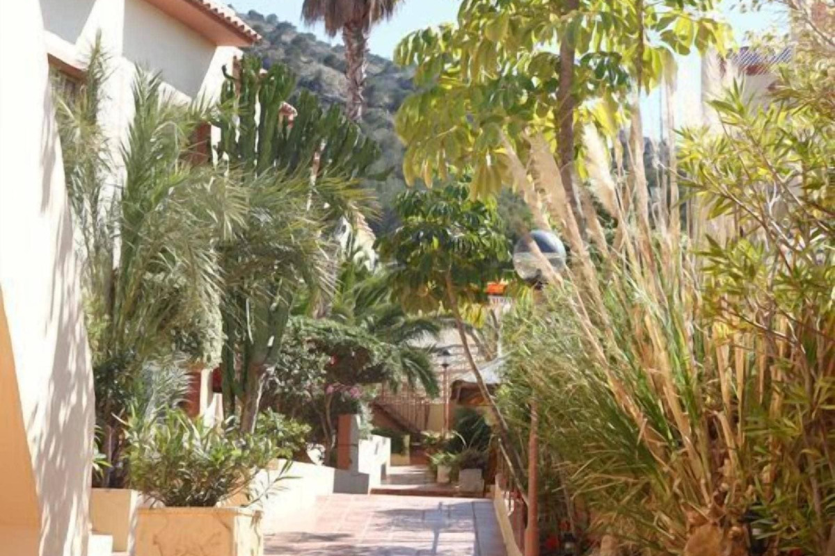 Alfaz' Paradise Club