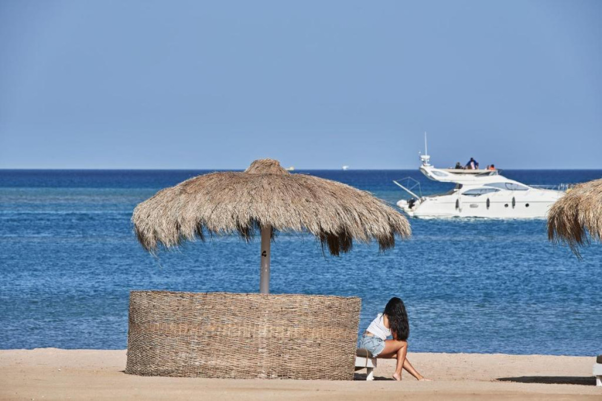 ALI PASHA