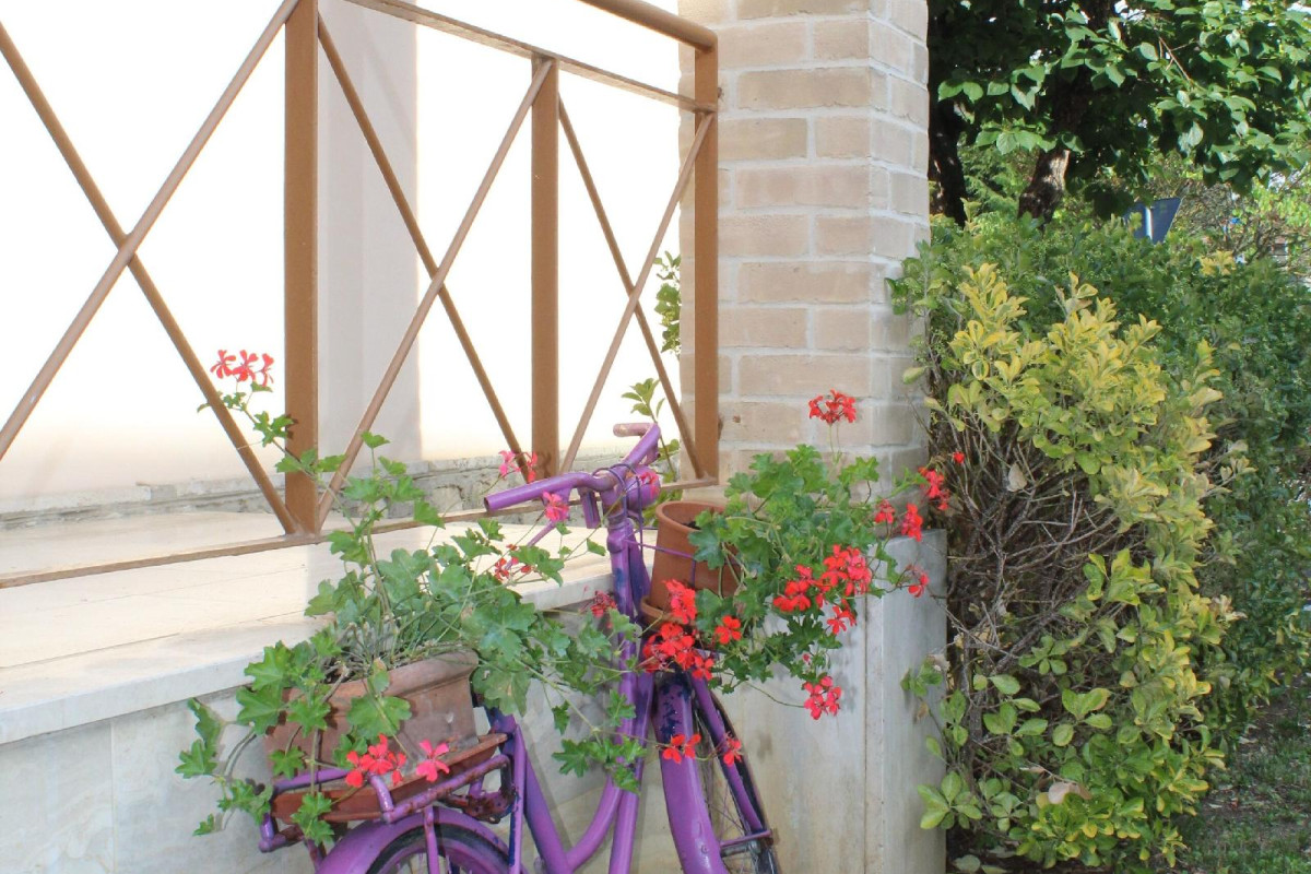 Alle Terme B&B