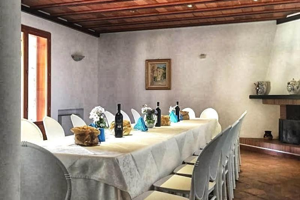 All'ombra Del Palmeto