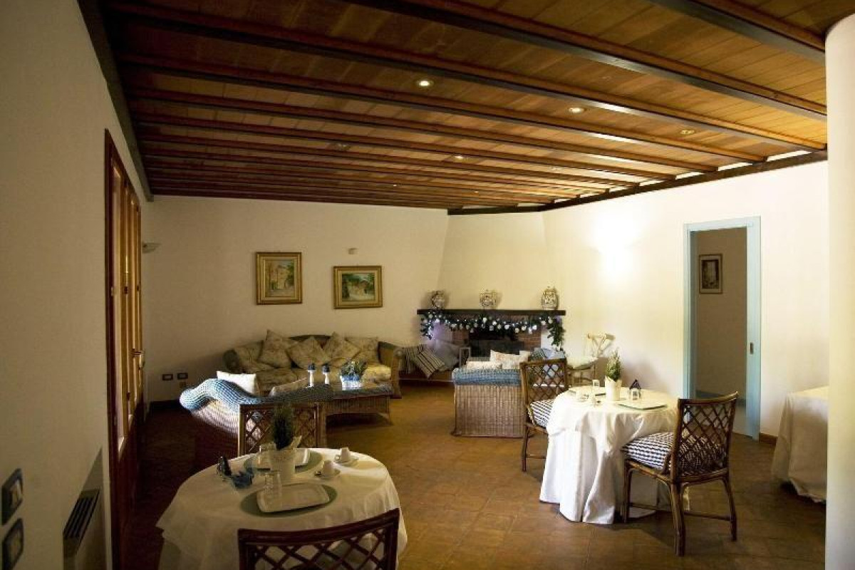 All'ombra Del Palmeto