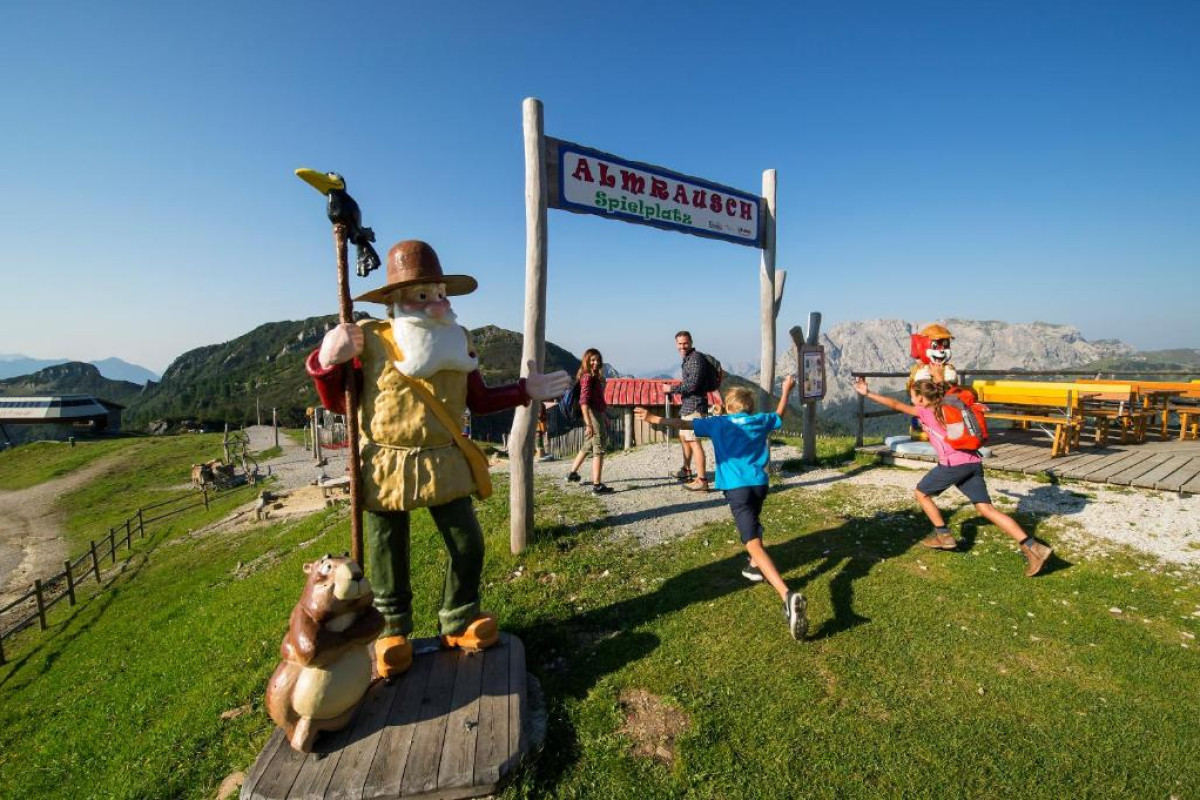 Alm Hotel Karnten