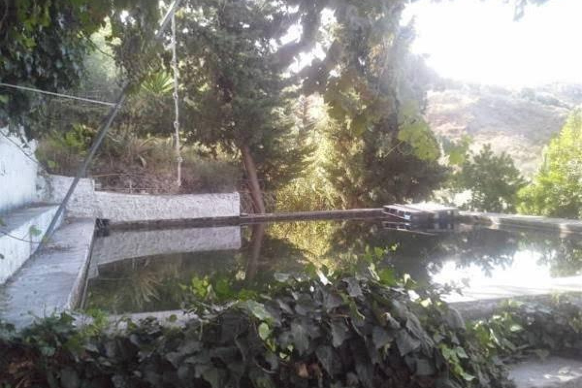 Alojamiento Rural El Brazal
