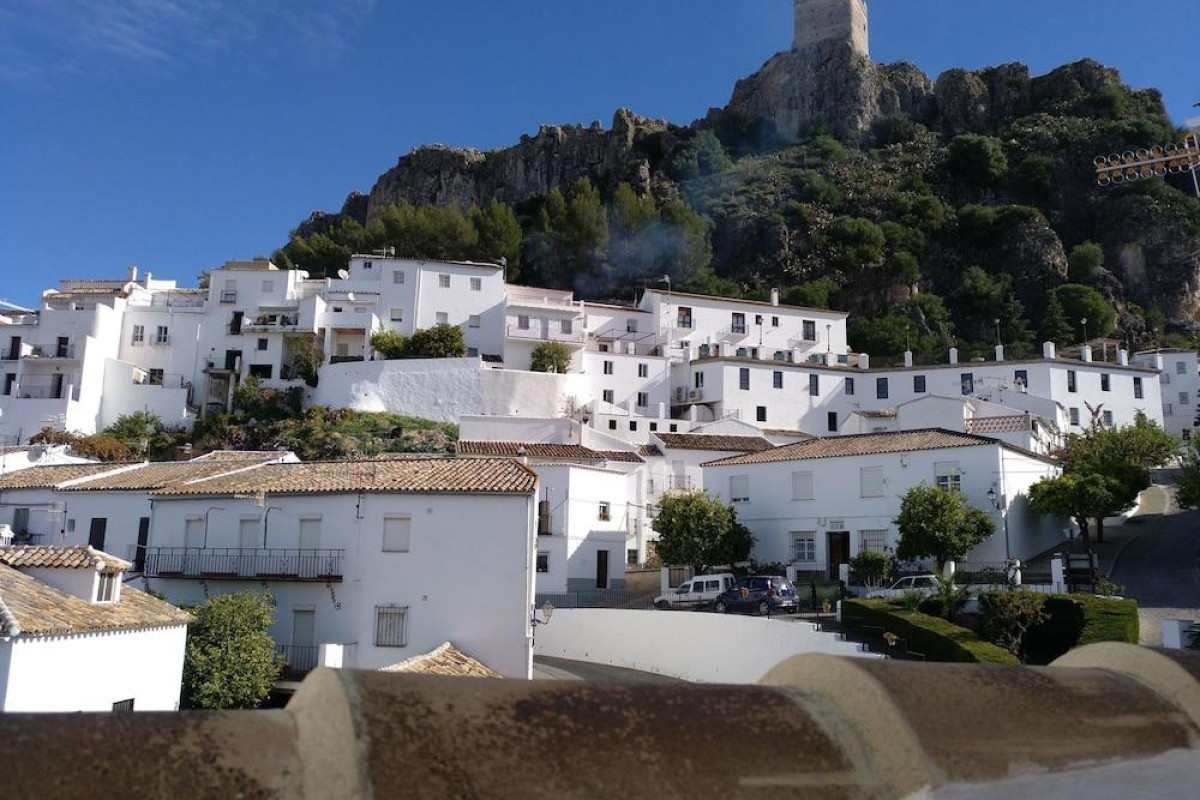 Alojamiento Rural El Pinsapo