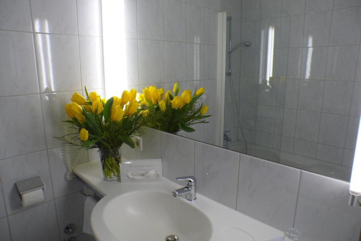 Hotel Alpin Park