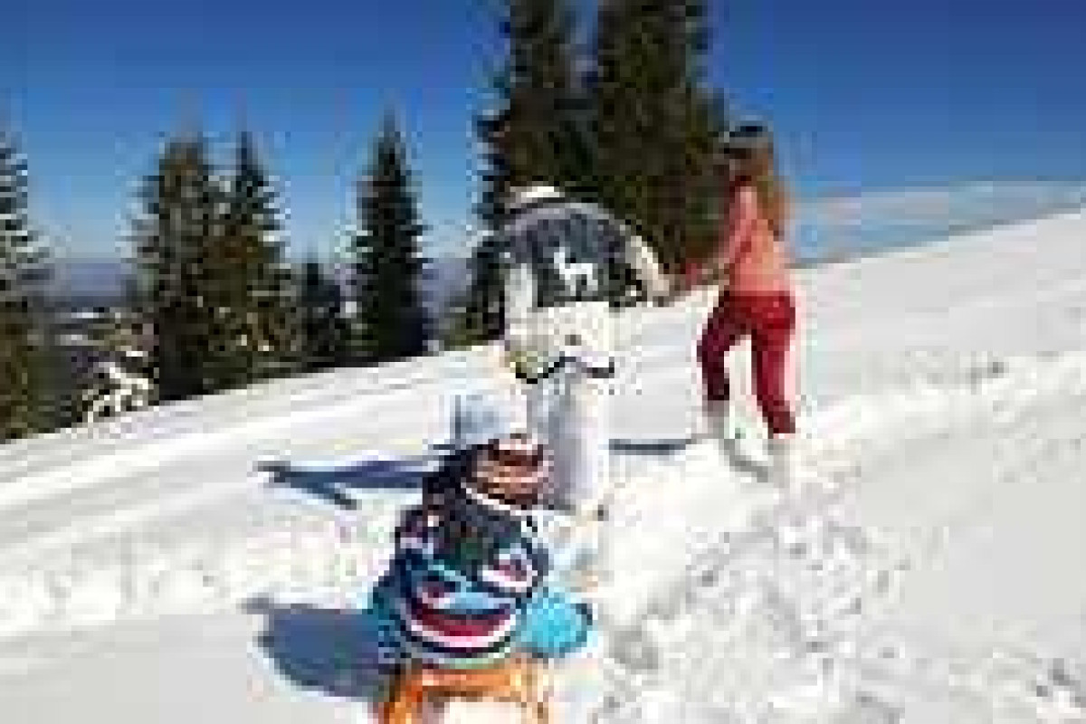 Alpine Resort Zell am See
