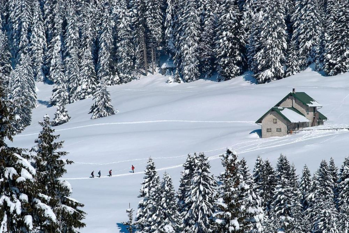 ALPINE SMART RESIDENCE