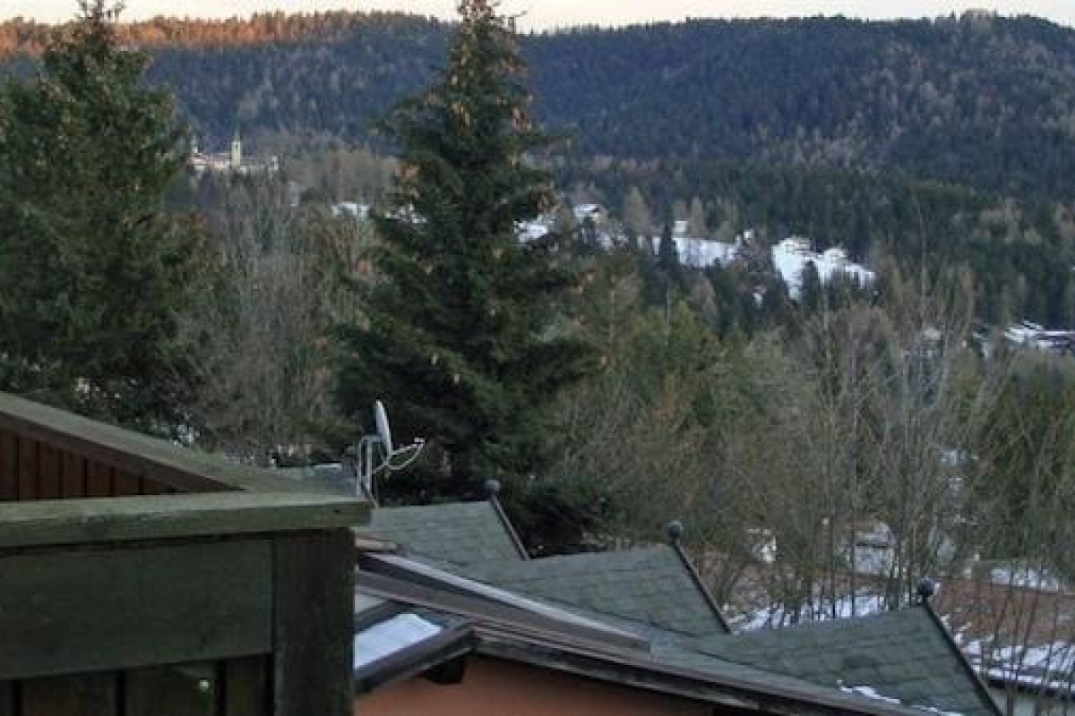 ALPINE SMART RESIDENCE