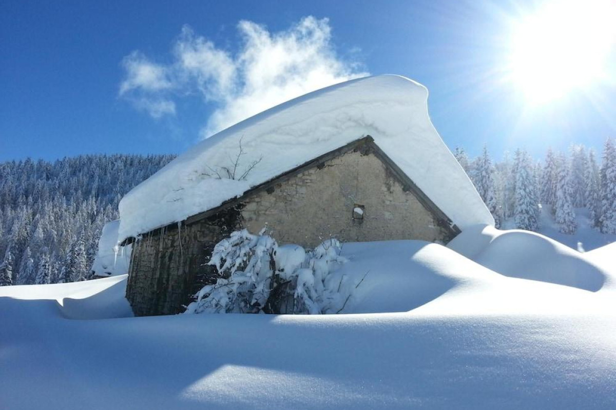 ALPINE SMART RESIDENCE